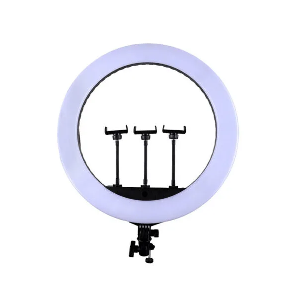 رینگ لایت